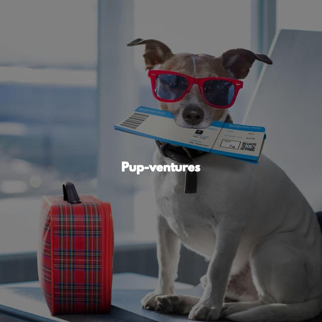 Pup-ventures - #Relaxing