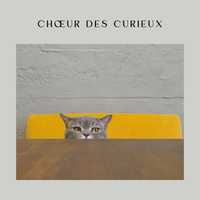 Choeur des Curieux - Détente