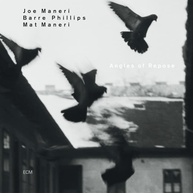 Angles Of Repose - Joe Maneri
