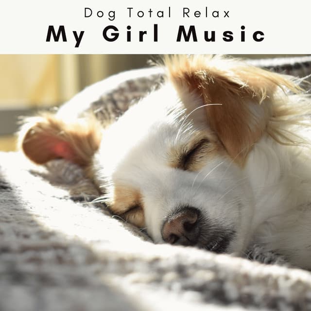 4 Dogs: My Girl Music - Dog Total Relax