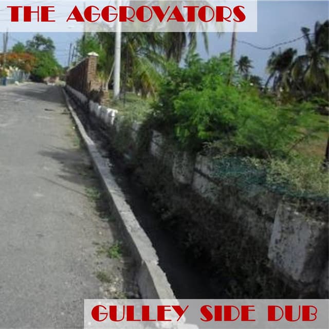 Gulley Side Dub - The Aggrovators