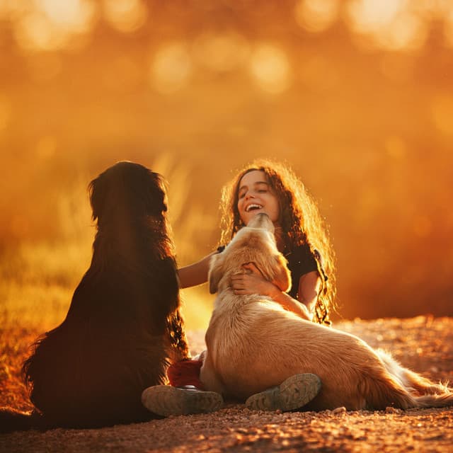 Binaural Flame Companionship: Gentle Fireside Dog Harmony - Outside The Sky