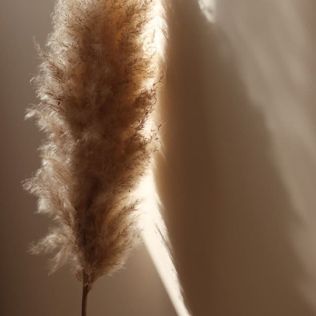 50 Meditation Melodies for Massage - Sounds of Nature White Noise Sound Effects