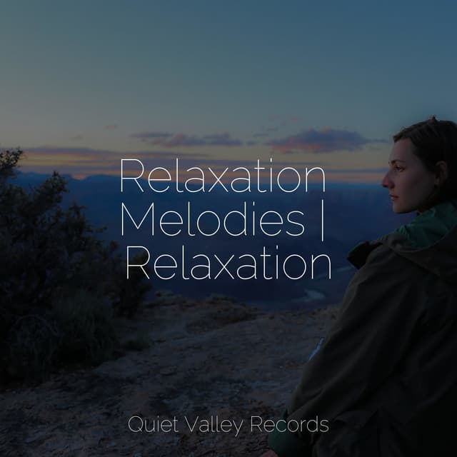 Relaxation Melodies | Relaxation - Echoes Of Nature