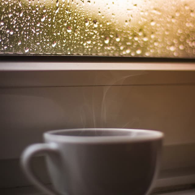 24Hr Rain: Echoes on a Windowpane - Meditation Rain Sounds