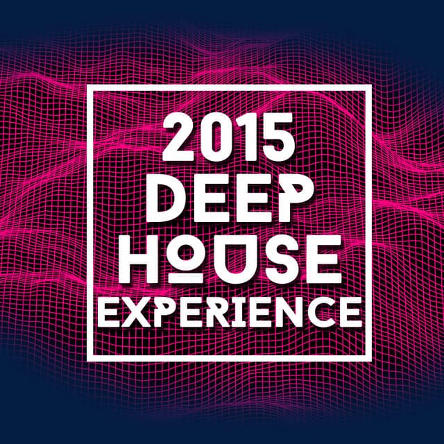 2015 Deep House Experience - Electro House DJ