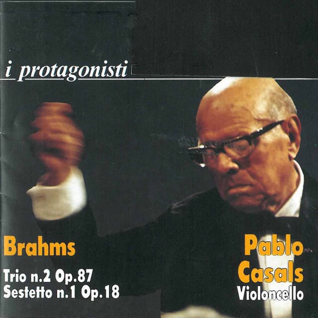 I protagonisti - Johannes Brahms