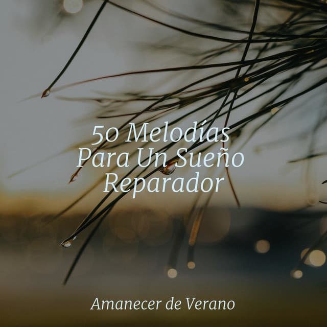 50 Melodías Para Un Sueño Reparador - Sonido de lluvia