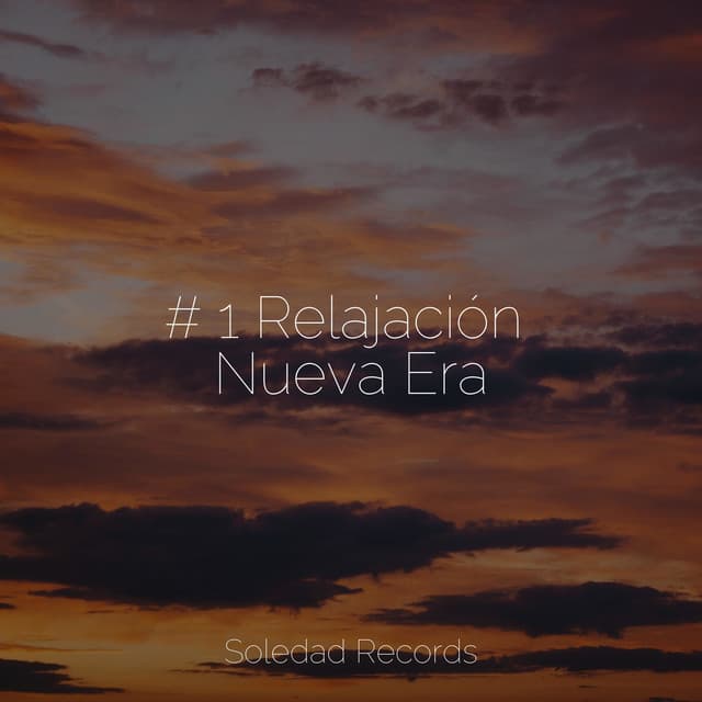 # 1 Relajación Nueva Era - Meditação Yoga Maestro
