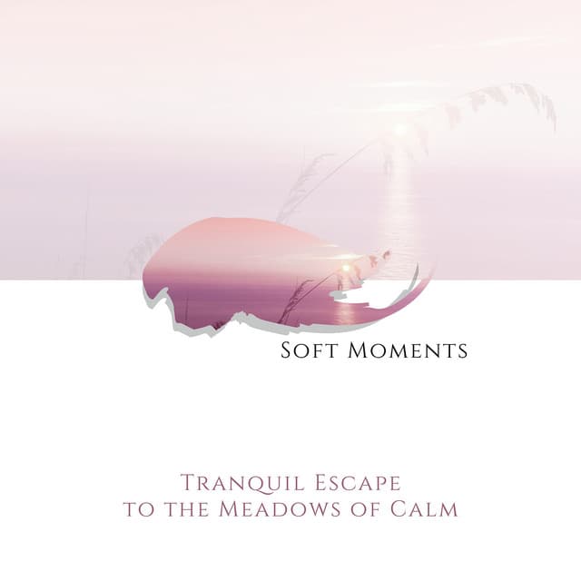 Tranquil Escape to the Meadows of Calm - Soft Moments