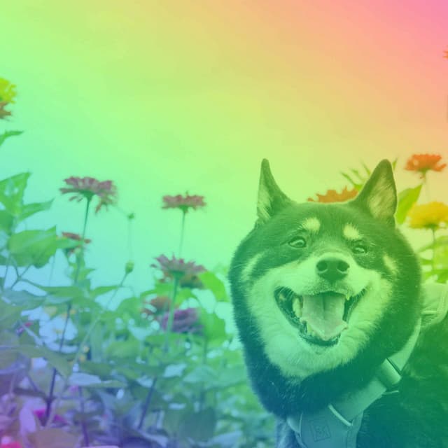 Luxurious Trio Jazz - Background for Sleepy Pup Moment - Dog Sleeping Soundtracks Deluxe