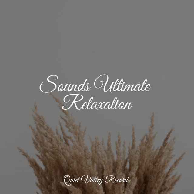 Sounds Ultimate Relaxation - Spa Music Collective