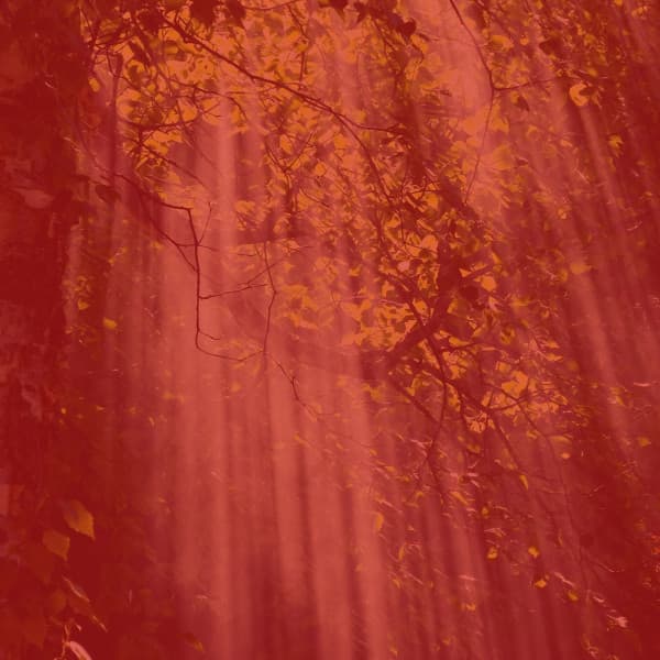 Opulent Trumpet Solo - Background for Creative Daydreams - Happy Playlisted Music