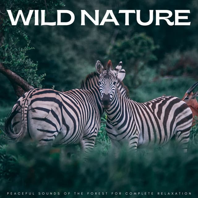 Wild Nature: Peaceful Sounds Of The Forest For Complete Relaxation - Factorial FX