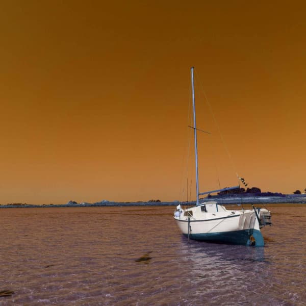 Joyful Music for Studying Legends - Piano Duo - Cooking Background Music