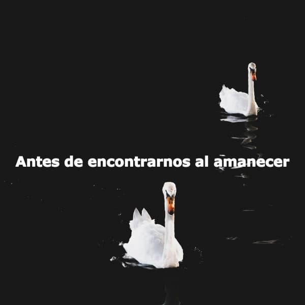 Antes de encontrarnos al amanecer - Café Vintage