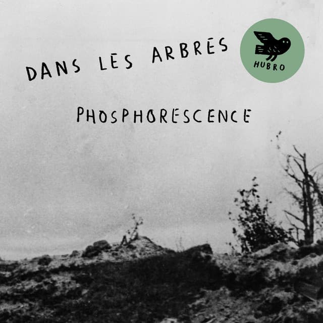 Phosphorescence - Ingar Zach