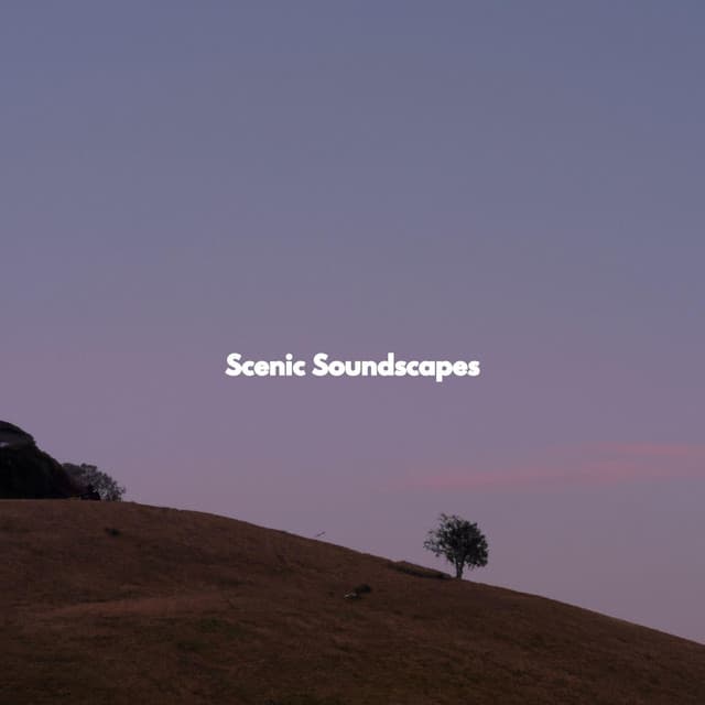 Scenic Soundscapes - Latin Jazz Playlist