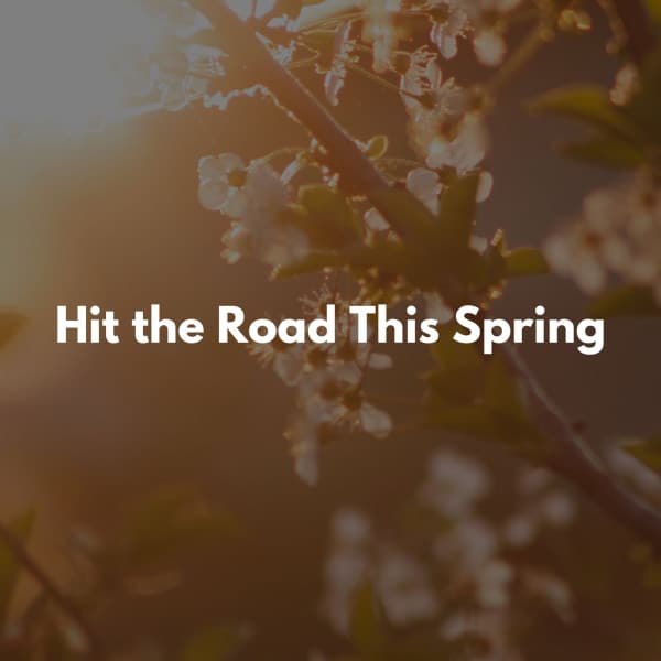 Staycation Music 2023 - Cafeteria Musica de lujo