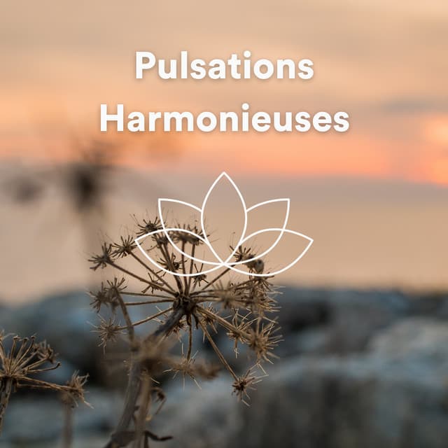Pulsations Harmonieuses - Zen Ambiance D'eau Calme