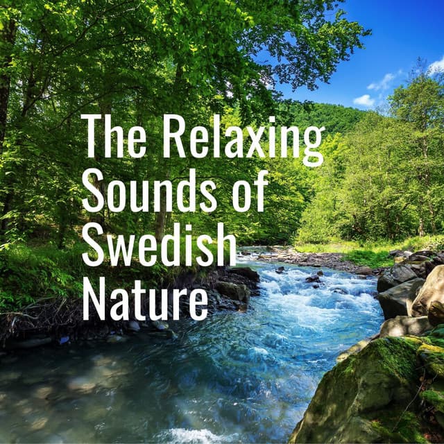 The Relaxing Sounds of Swedish Nature