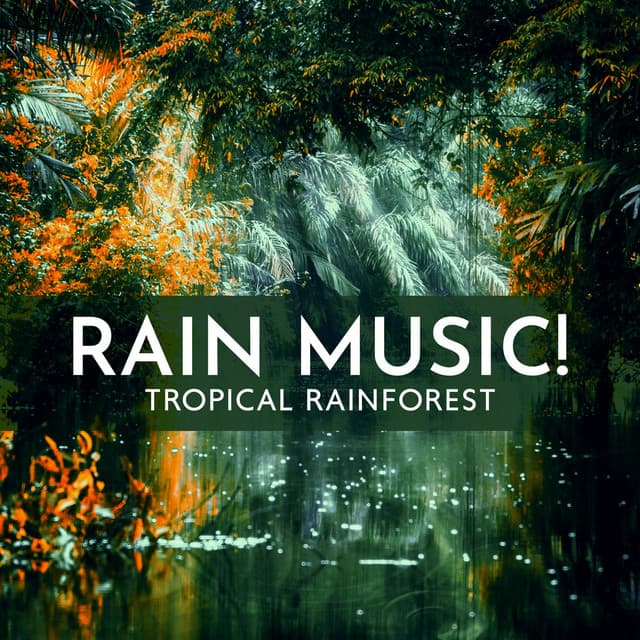 Rain Music! Tropical Rainforest – Wild Nature Music Collection for Rest, Meditation, Spa and Sleep - Rain Music!