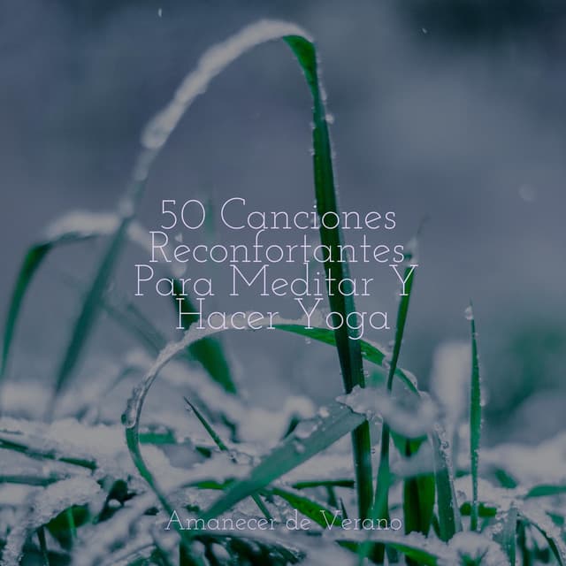 50 Canciones Reconfortantes Para Meditar Y Hacer Yoga - Relajación