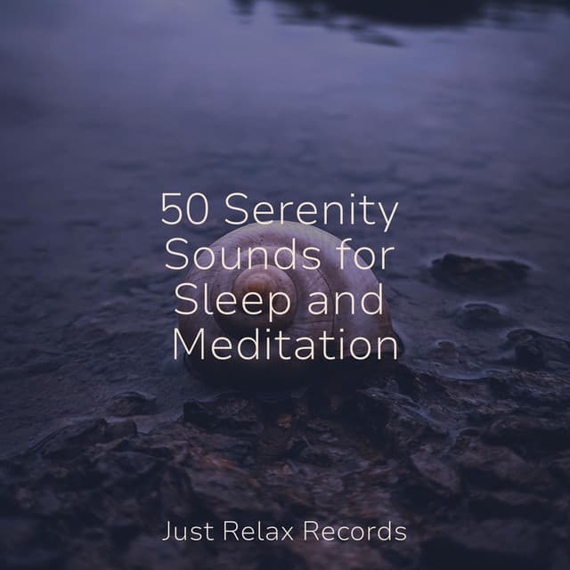 50 Serenity Sounds for Sleep and Meditation - Natural Sounds