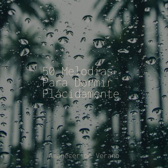 50 Melodías Para Dormir Plácidamente - Yoga