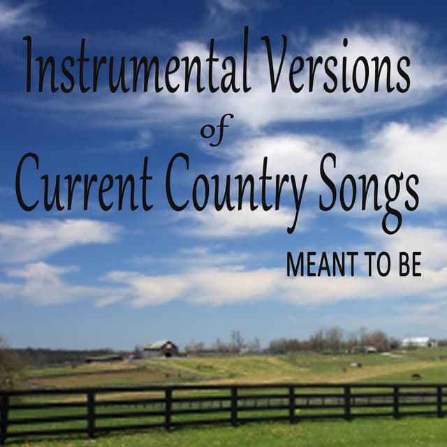 Instrumental Versions of Current Country Songs: Meant To Be - Steve Petrunak