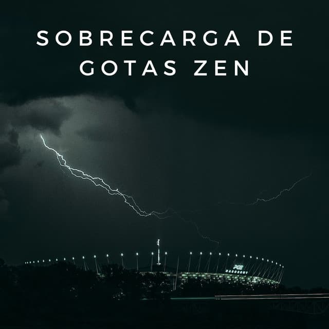 Sobrecarga De Gotas Zen - Registradores de lluvia