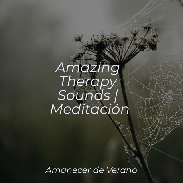 Amazing Therapy Sounds | Meditación - Ambiente
