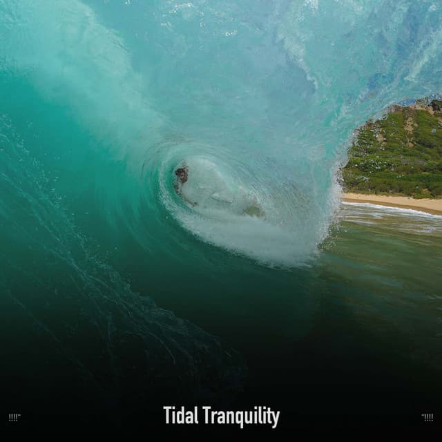 !!!!" Tidal Tranquility "!!!! - Ocean Waves