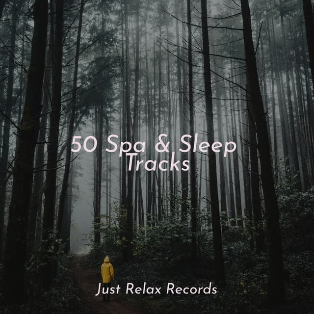 50 Spa & Sleep Tracks - Ambient
