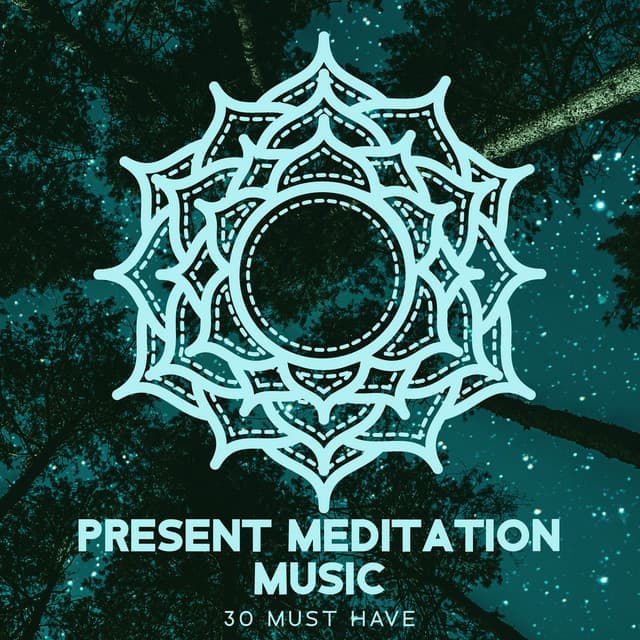 Present Meditation Music: 30 Must Have Songs, Spiritual Path to Buddha, Mindfulness of Breathing, Deep Visualization, Yoga and Healing Music - Ho Si Qiang