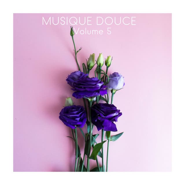 Musique Douce, Vol. 5 - Musique Zen Garden