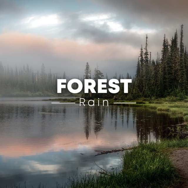 Forest Rain - Jungle Sounds