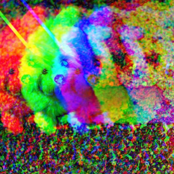 Piano Jazz Duo - Calma Música para Perros