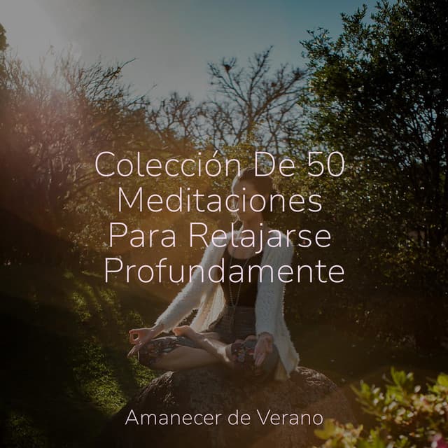 Colección De 50 Meditaciones Para Relajarse Profundamente - Meditation Relaxation Club