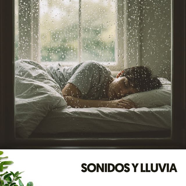 Sonidos de Lluvia y música: Melodías acuáticas para soñar - Cat Music Therapy