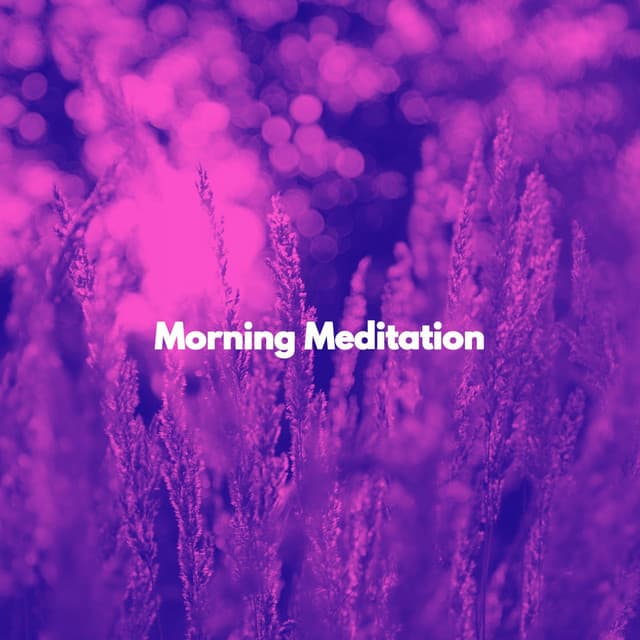 Morning Meditation - Soft Jazz Radio