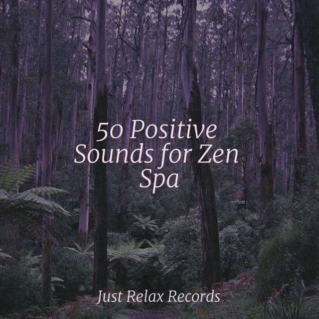 50 Positive Sounds for Zen Spa - Chillout Lounge