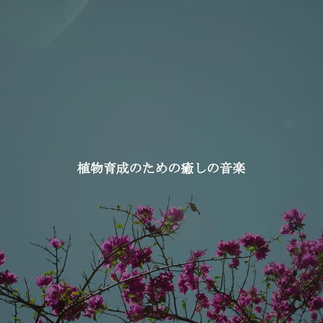 植物育成のための癒しの音楽 - Smooth Dinner Music