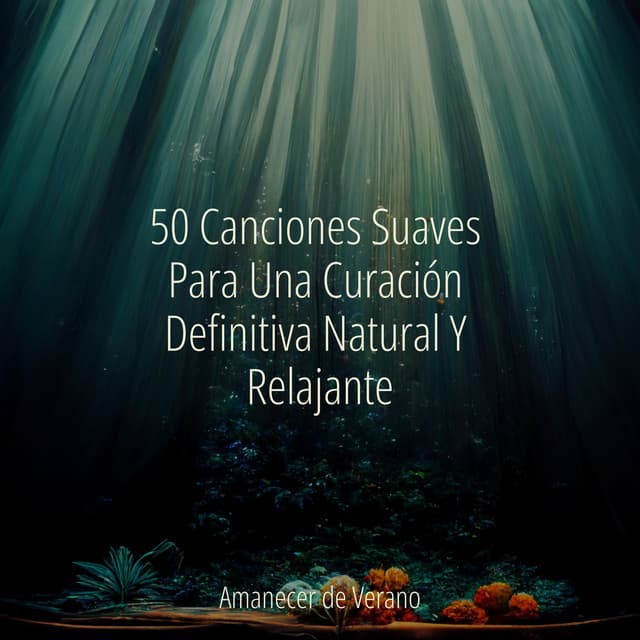 50 Canciones Suaves Para Una Curación Definitiva Natural Y Relajante - Musica para Dormir 101