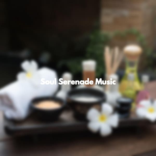 Soul Serenade Music - Afternoon Recharge