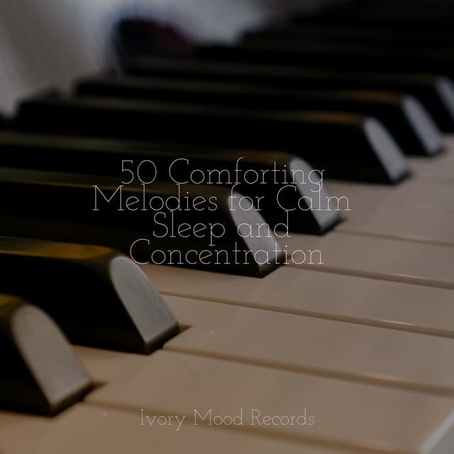 50 Comforting Melodies for Calm Sleep and Concentration - Deep Sleep Meditation