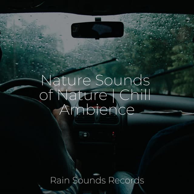 Nature Sounds of Nature | Chill Ambience - Weather Factory