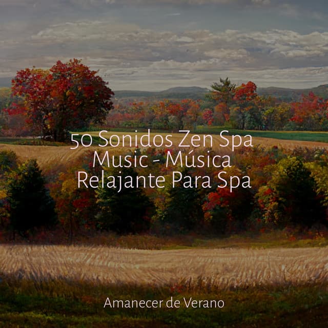 50 Sonidos Zen Spa Music - Música Relajante Para Spa - Musica Reiki
