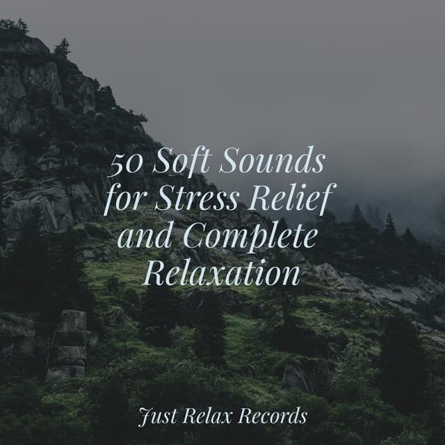 50 Soft Sounds for Stress Relief and Complete Relaxation - Lullaby Land