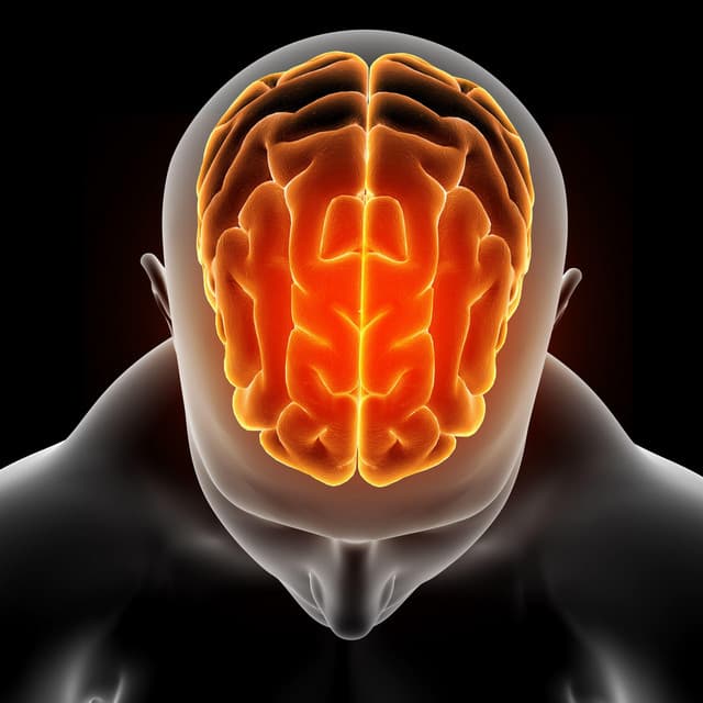 Damaged Brain Healing: Repair Frequency for Depression & Anxiety - Brain Stimulation Music Collective